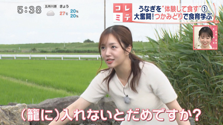刈川くるみ1 刈川くるみ1