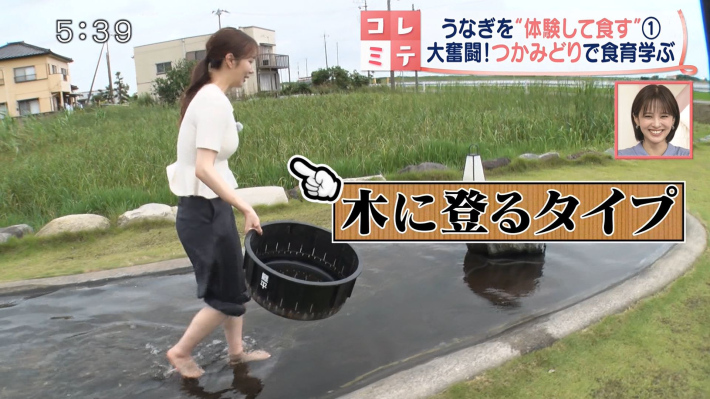 刈川くるみ6 刈川くるみ6