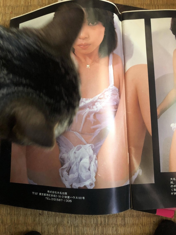 古いエロ本30