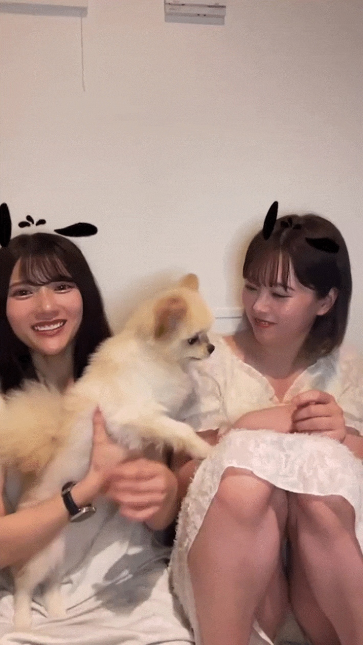 小坂井祐莉絵パンチラ2