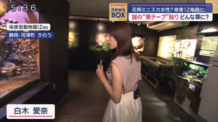 白木愛奈横乳2