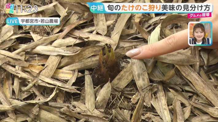 佐々木舞音0