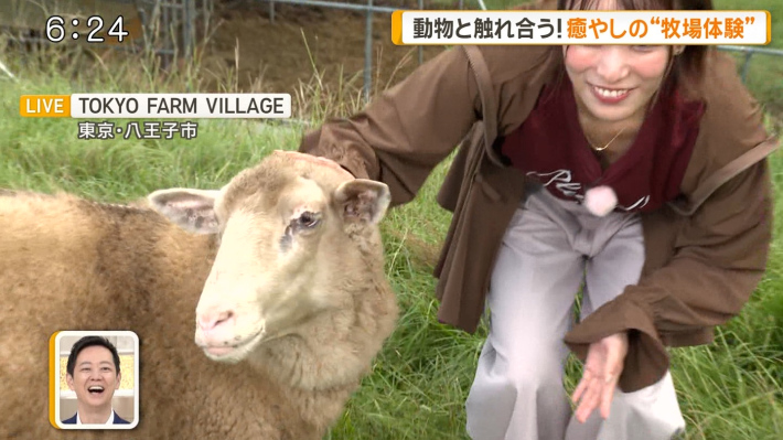今井春花おっぱい0