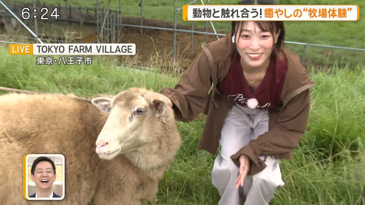 今井春花おっぱい1