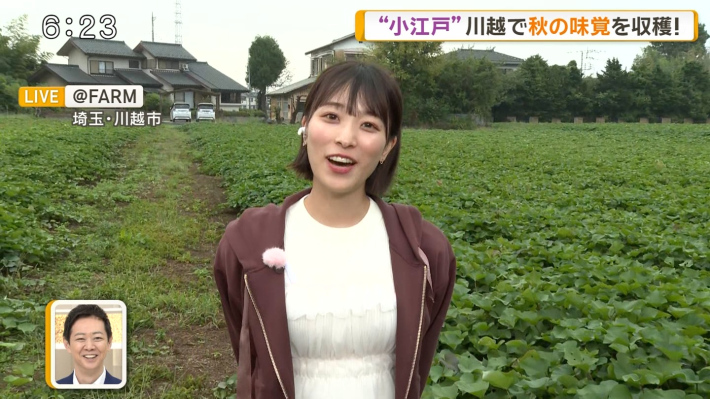 今井春花パンチラ2