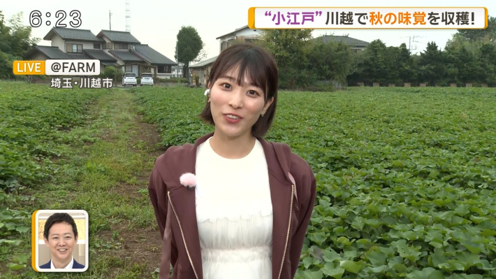今井春花パンチラ3