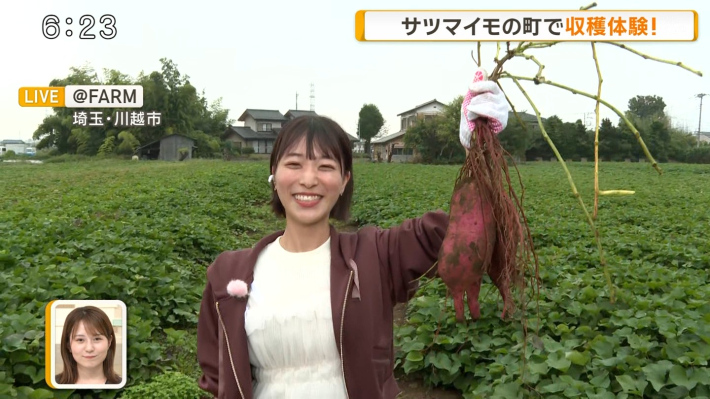 今井春花パンチラ4