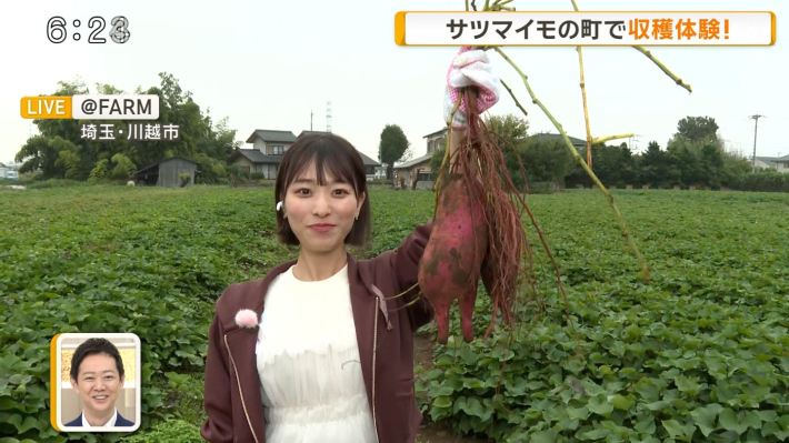 今井春花パンチラ5