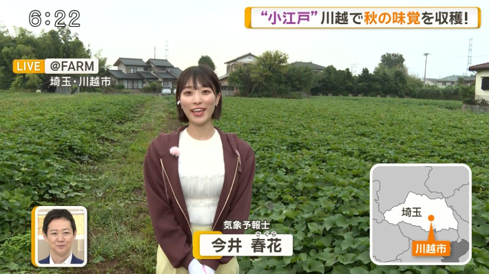 今井春花パンチラ6