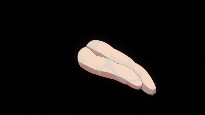 ぬきたし特典BD70