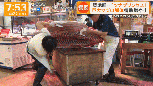 マグロプリンセスおっぱい7